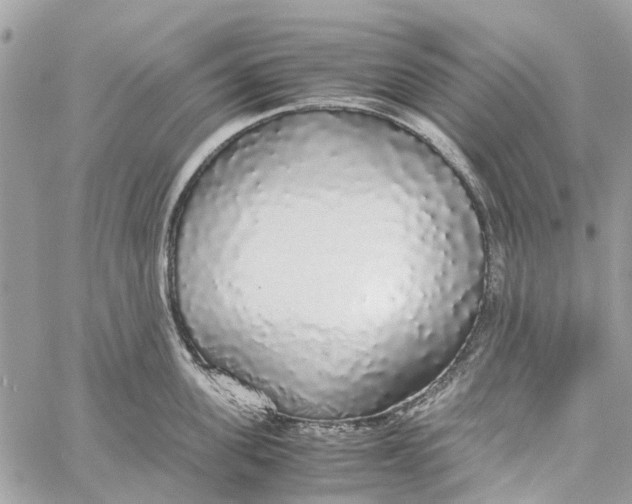 X0000060260955200511181351