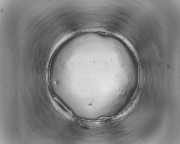 X0000060260957200511181351