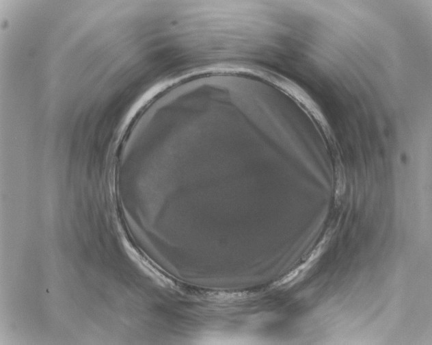 X0000060260958200511181351