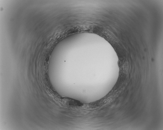 X0000060260961200511181350