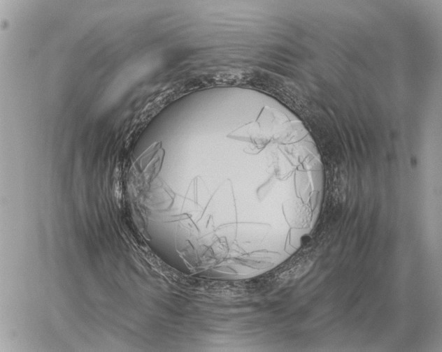 X0000060260962200511181350