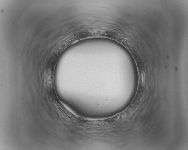 X0000060260963200511181350