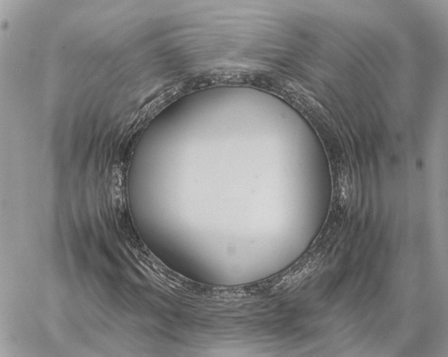 X0000060260964200511181350