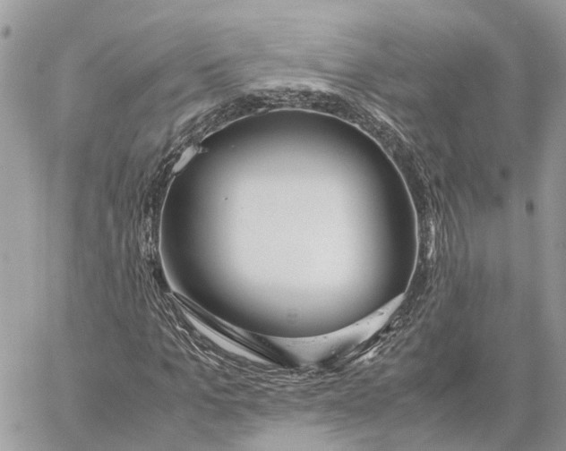 X0000060260965200511181350