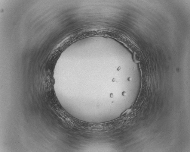 X0000060260968200511181350