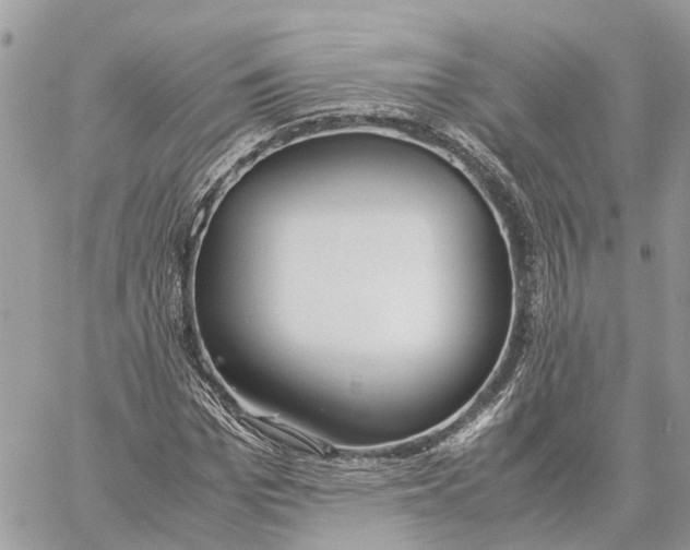 X0000060260969200511181350