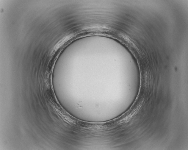 X0000060260970200511181350