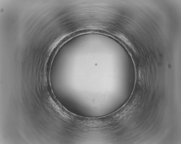 X0000060260972200511181350