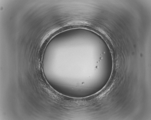 X0000060260973200511181350