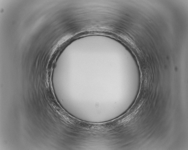 X0000060260974200511181350