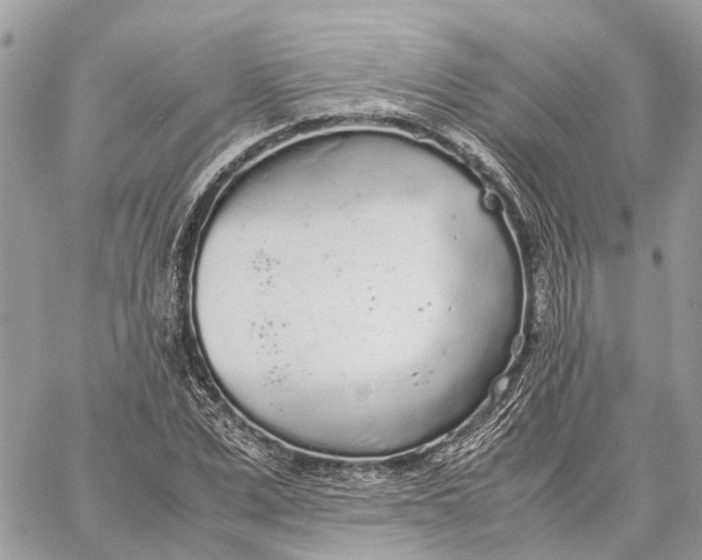 X0000060260975200511181350