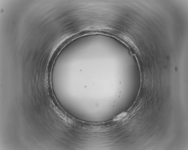 X0000060260976200511181350