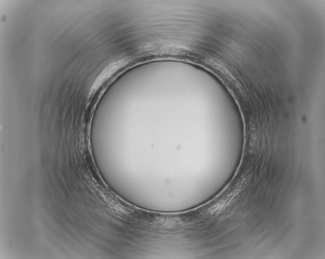 X0000060260978200511181350