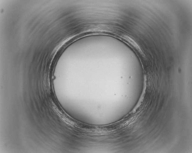 X0000060260980200511181350