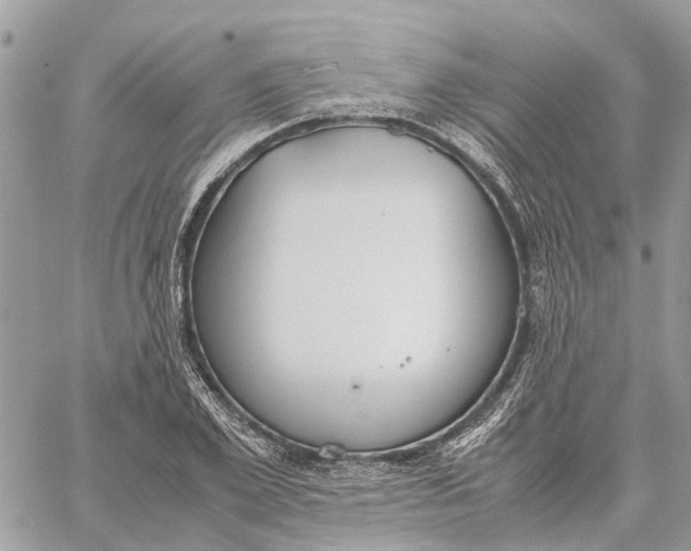 X0000060260981200511181350