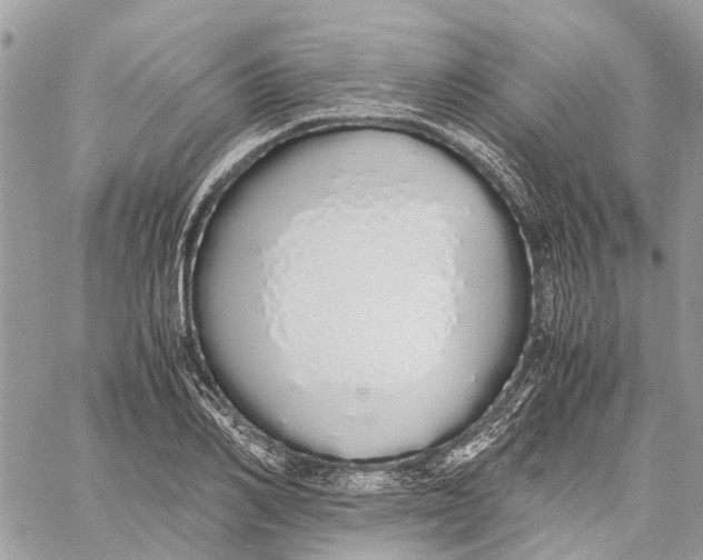 X0000060260982200511181350