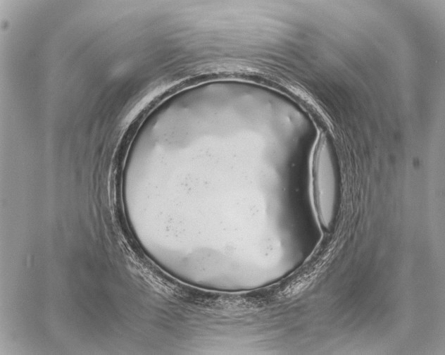 X0000060260983200511181350