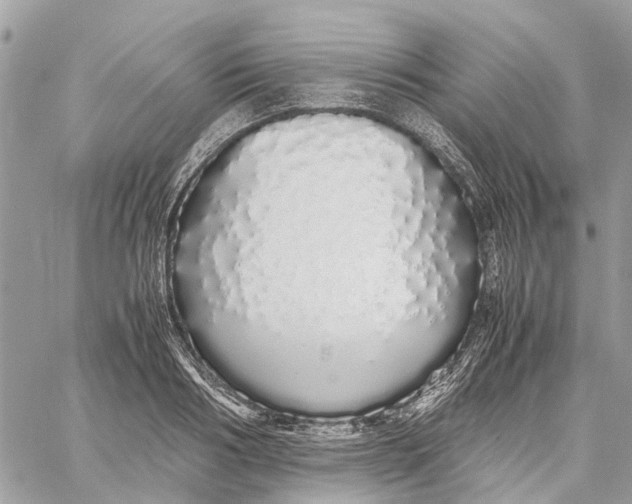 X0000060260986200511181349