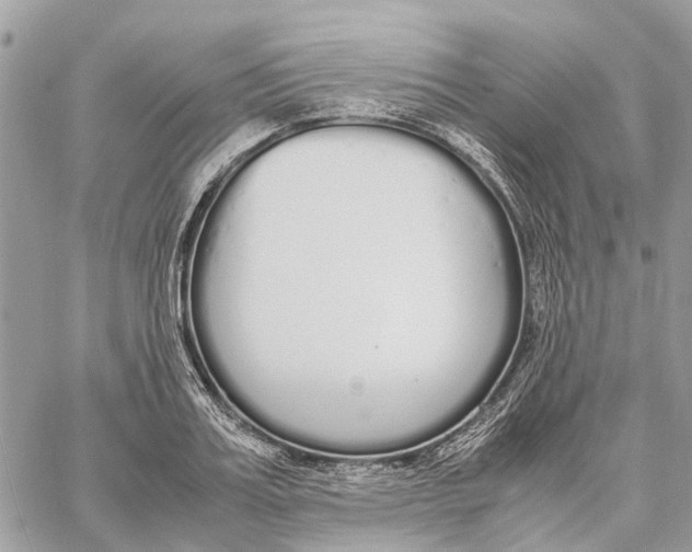 X0000060260987200511181349