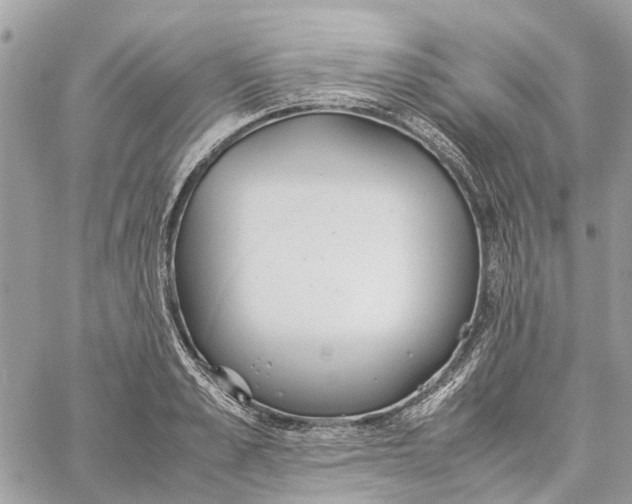 X0000060260989200511181349