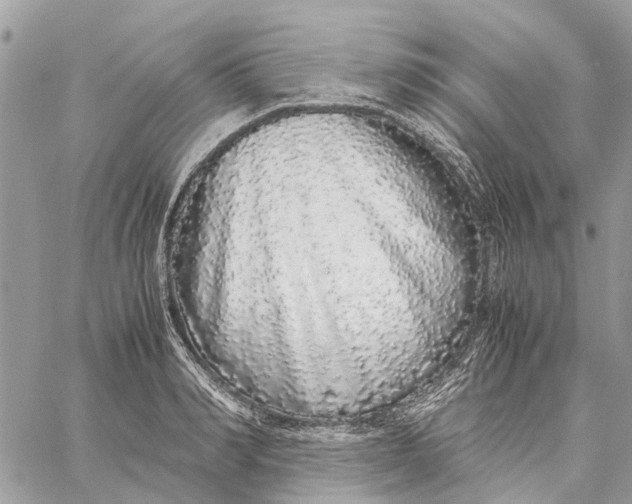 X0000060260990200511181349