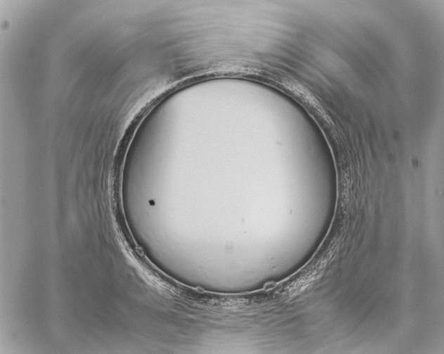 X0000060260991200511181349