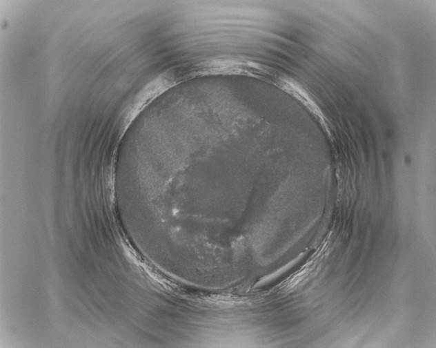 X0000060260994200511181349