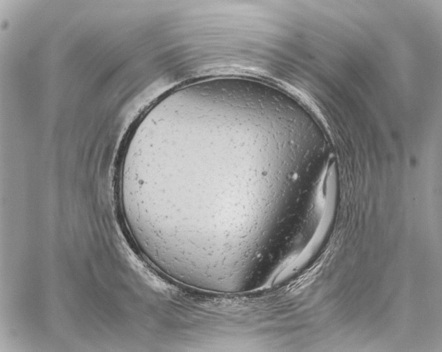 X0000060260995200511181349