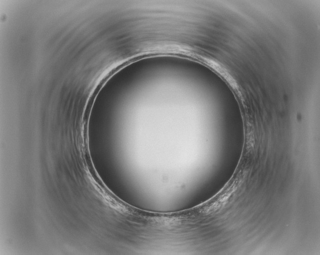 X0000060260996200511181349