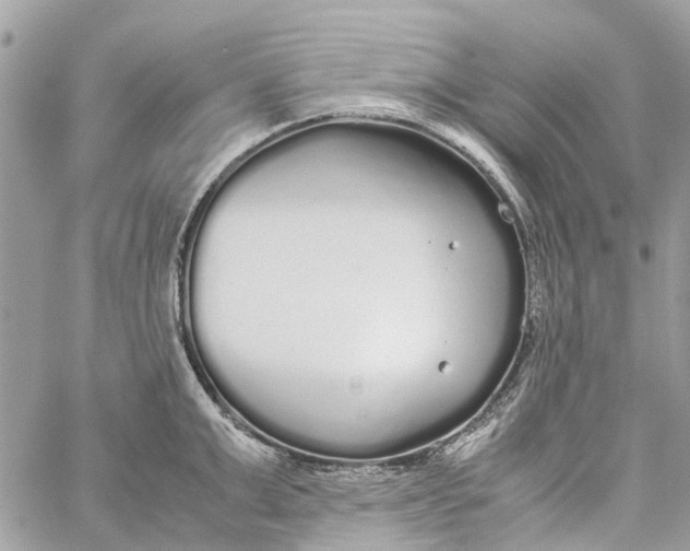 X0000060260999200511181349