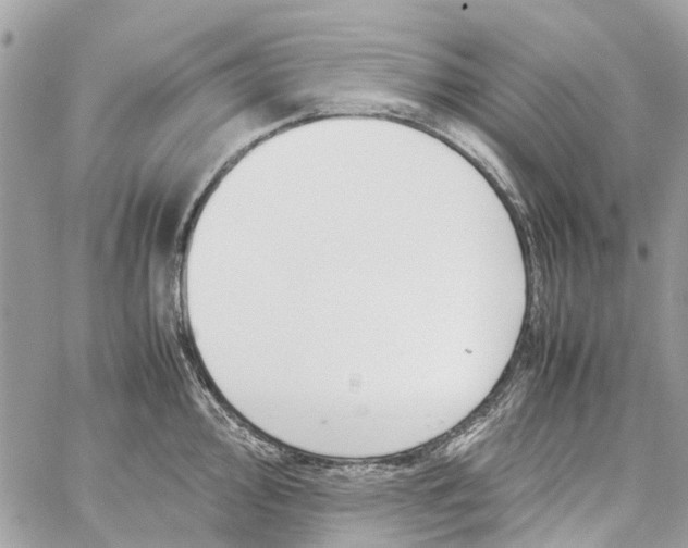 X0000060261000200511181349