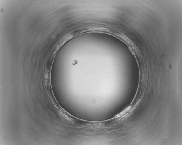 X0000060261001200511181349