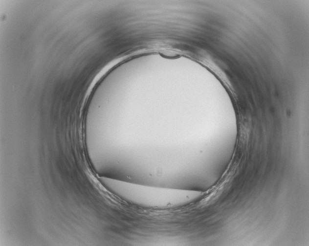 X0000060261004200511181349