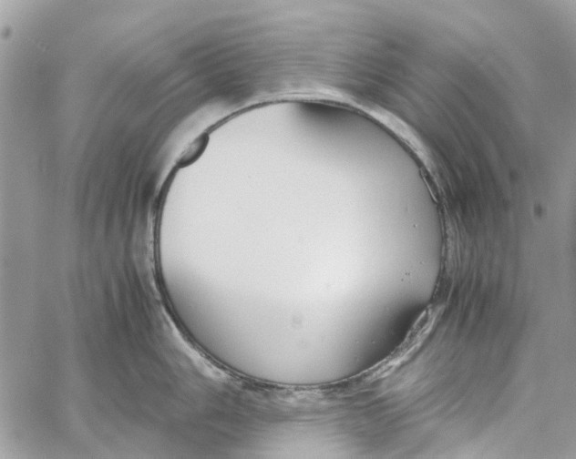 X0000060261006200511181349