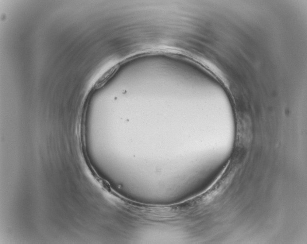 X0000060261007200511181349