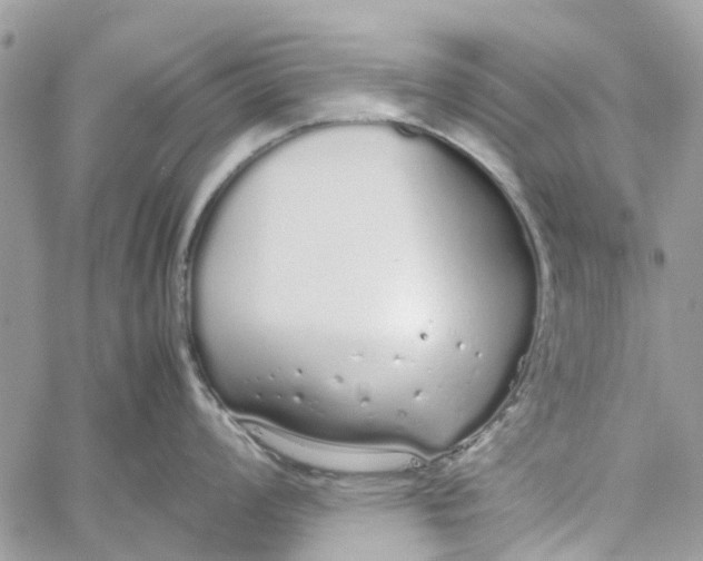 X0000060261008200511181349