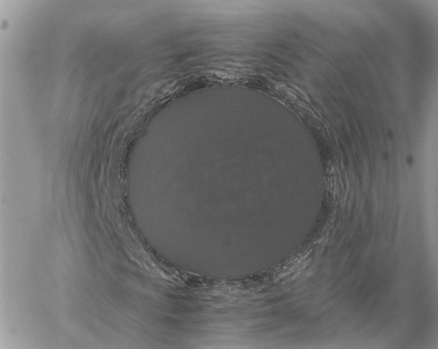 X0000060261009200511181348