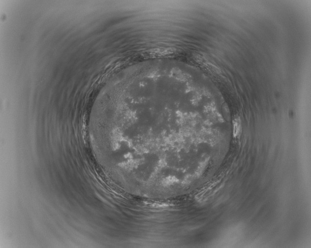 X0000060261011200511181348