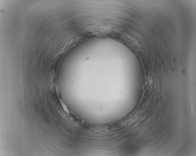 X0000060261012200511181348