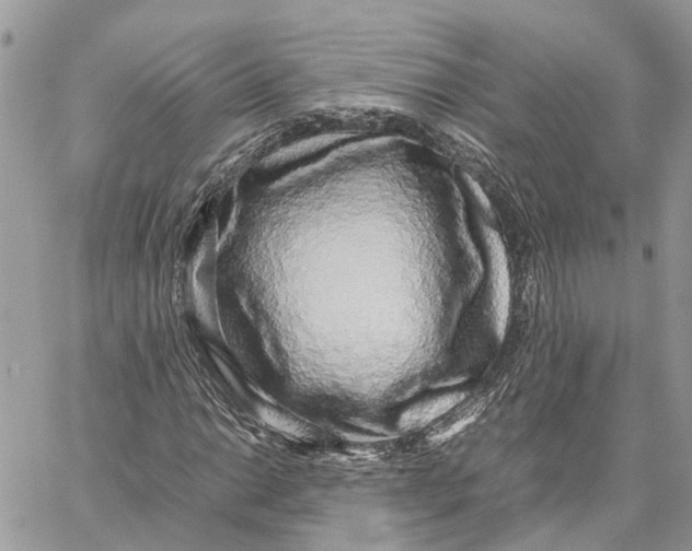 X0000060261014200511181348