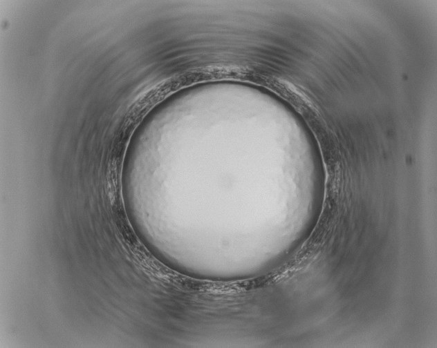 X0000060261015200511181348