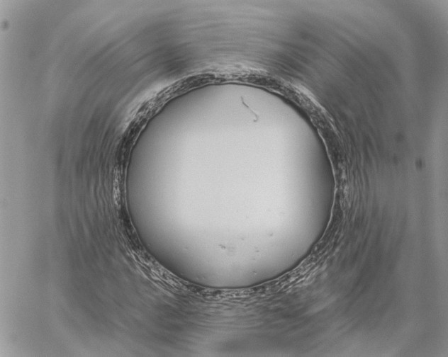 X0000060261016200511181348