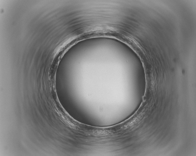 X0000060261018200511181348