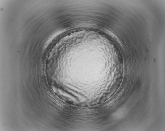 X0000060261019200511181349