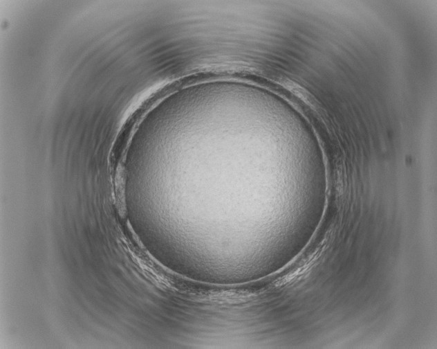 X0000060261022200511181349