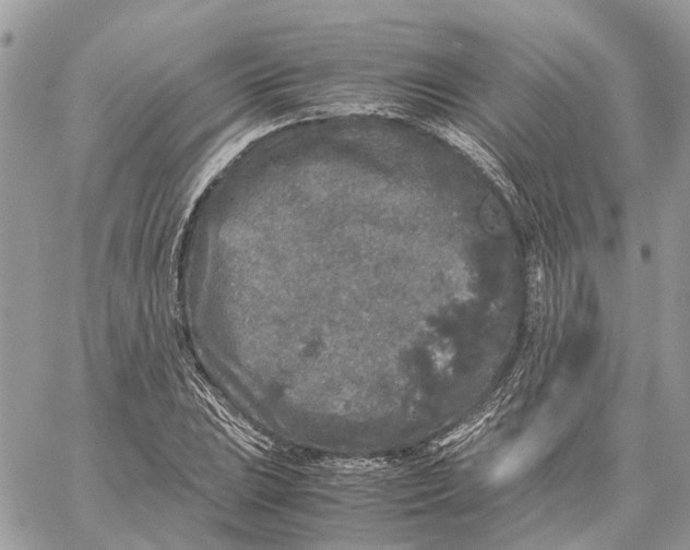 X0000060261023200511181349