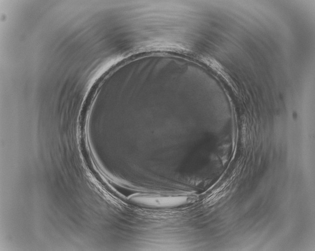 X0000060261024200511181349