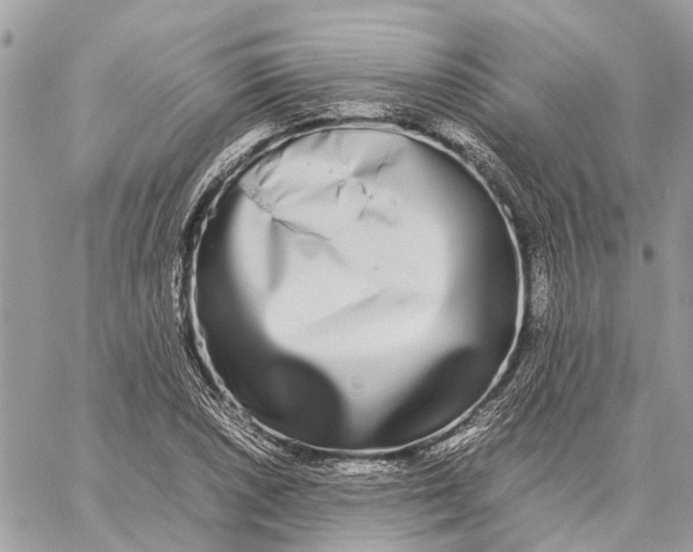 X0000060261026200511181349