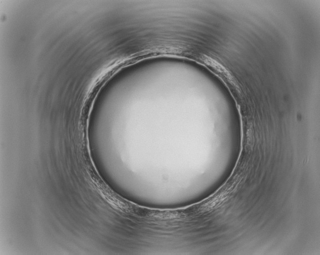 X0000060261027200511181349