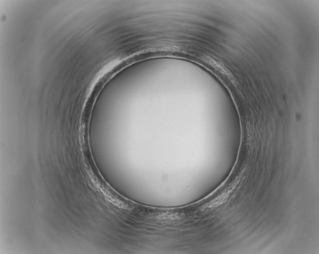 X0000060261029200511181349